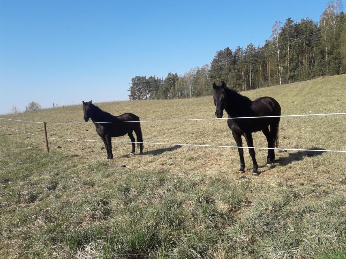 Apartamenty Lubiewo Mikołajki Екстериор снимка